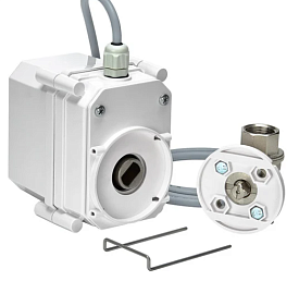 ШЭП PROFESSIONAL 24V FB G-LOCK 1 1/4” BS